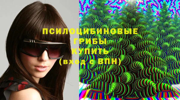 СК Новокубанск