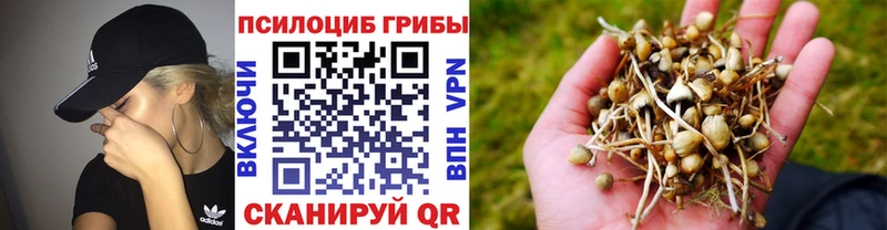 Галлюциногенные грибы Psilocybe  Янаул 