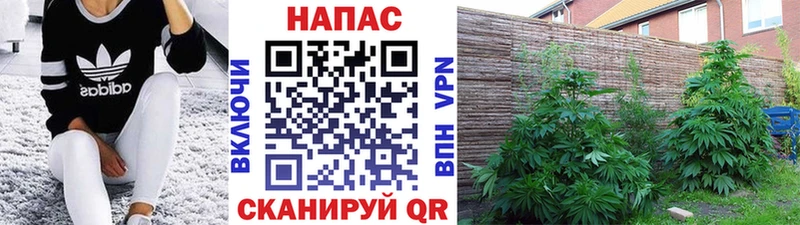 Каннабис AK-47 Янаул